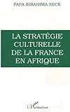 Stratégie culturelle de la France en Afrique