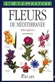 Fleurs de Méditerranée