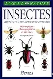 Insectes