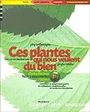 Ces plantes qui nous veulent du bien