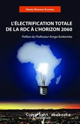 L'électrification totale de la RDC à l'horizon 2060