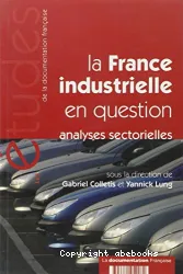 La France industrielle en question : Analyses sectorielles (Les études de la Documentation française)