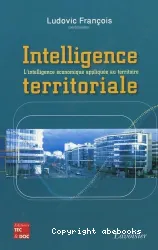 Intelligence territoriale