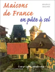 Maisons de France en pâte à sel