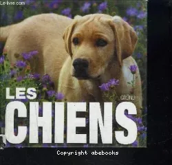 Chiens