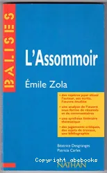 L'Assommoir, Emile Zola