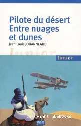 Pilote du désert entre nuages et dunes