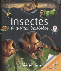 Insectes et autres bestioles