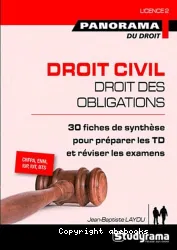 Droit civil, droit des obligations