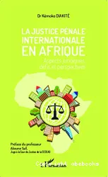 La justice pénale internationale en Afrique