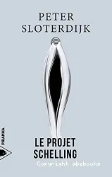 Le projet Schelling