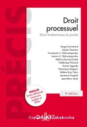 Droit processuel