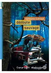 Déroute sauvage