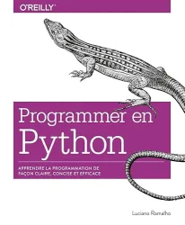 Programmer en Python