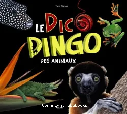 Le dic dingo des animaux