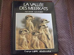 La Vallée des Meerkats