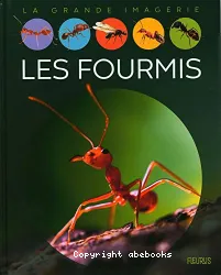 Les fourmis