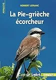 La pie-grièche écorcheur