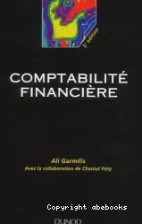 Comptabilité financière 2e édition