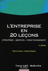 L'entreprise en 20 leçons stratégie .gestion.fonctionnement 3e édition