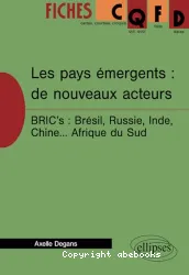 Les pays eémergents: de nouveaux acteurs bric's:brésil,russie,inde, chine...afrique du sud