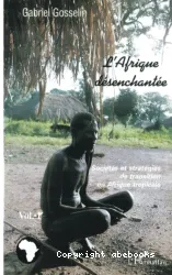 L'afrique désenchantée sociétés et stratégies de transition en afrique tropicale