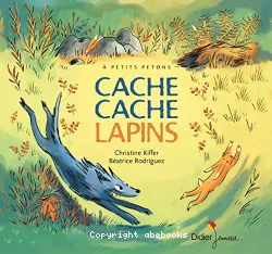 Cache cache lapins