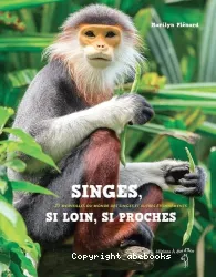 Singes, si loin, si proches